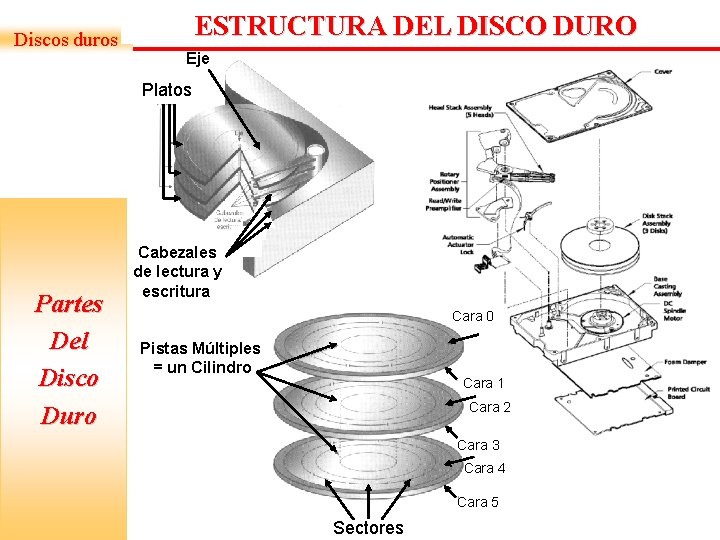 Discos duros ESTRUCTURA DEL DISCO DURO Eje Platos Partes Del Disco Duro Cabezales de Discos duros ESTRUCTURA DEL DISCO DURO Eje Platos Partes Del Disco Duro Cabezales de