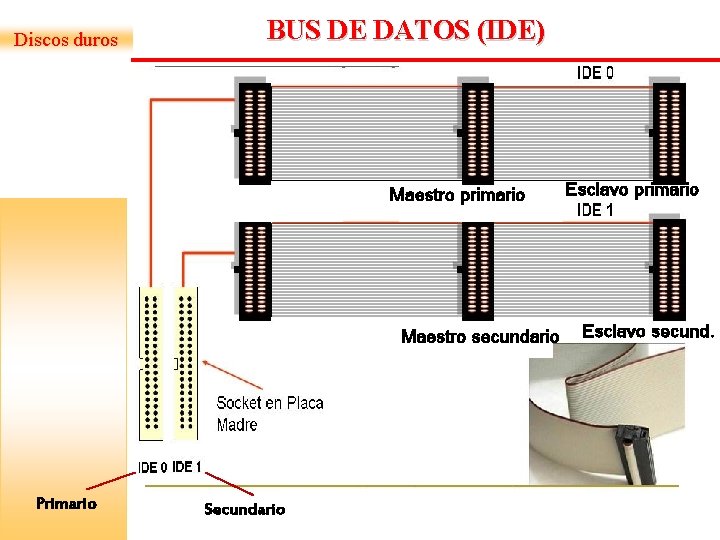 Discos duros BUS DE DATOS (IDE) Maestro primario Maestro secundario Primario Secundario Esclavo primario Discos duros BUS DE DATOS (IDE) Maestro primario Maestro secundario Primario Secundario Esclavo primario