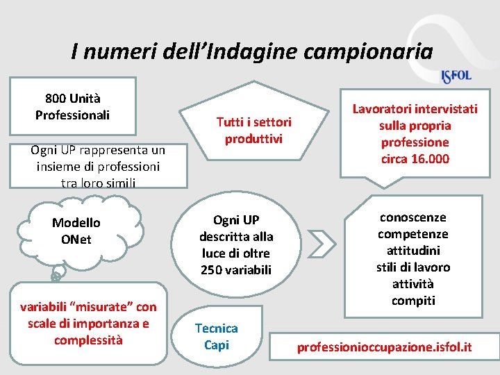 I numeri dell’Indagine campionaria 800 Unità Professionali Ogni UP rappresenta un insieme di professioni