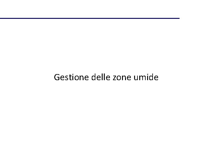 Gestione delle zone umide 