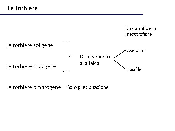 Le torbiere Da eutrofiche a mesotrofiche Le torbiere soligene Le torbiere topogene Le torbiere