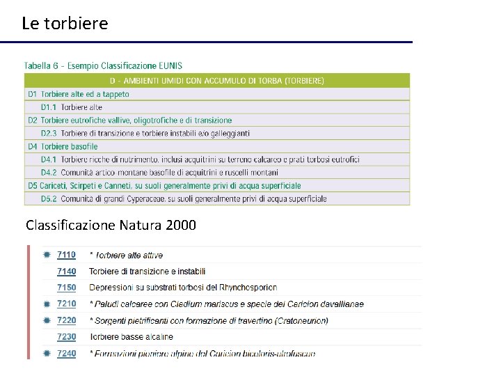 Le torbiere Classificazione Natura 2000 