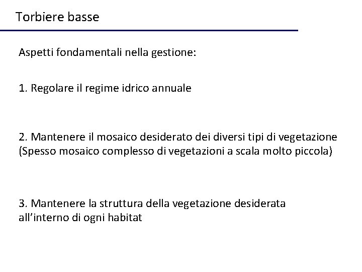 Torbiere basse Aspetti fondamentali nella gestione: 1. Regolare il regime idrico annuale 2. Mantenere