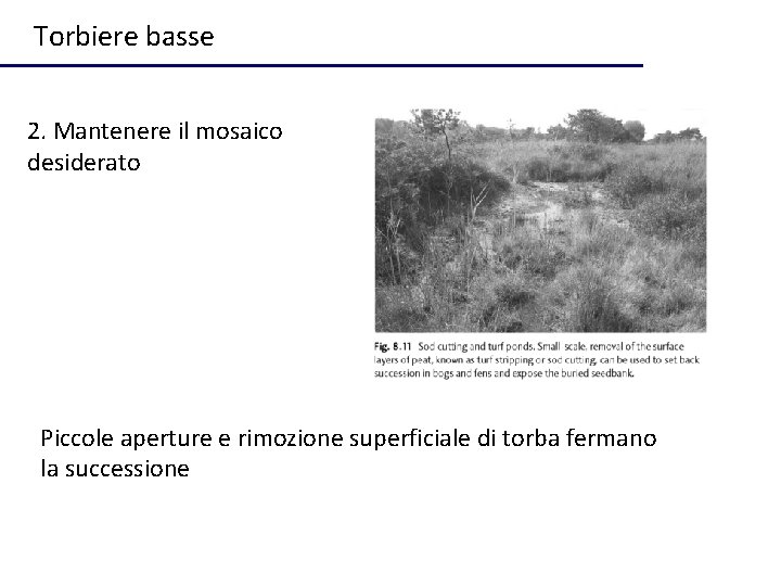 Torbiere basse 2. Mantenere il mosaico desiderato Piccole aperture e rimozione superficiale di torba