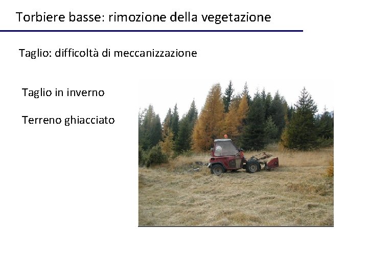 Torbiere basse: rimozione della vegetazione Taglio: difficoltà di meccanizzazione Taglio in inverno Terreno ghiacciato