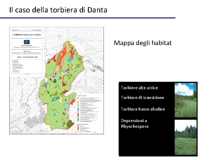 Il caso della torbiera di Danta Mappa degli habitat Torbiere alte attive Torbiere di