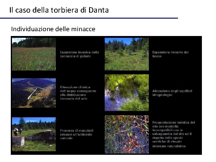 Il caso della torbiera di Danta Individuazione delle minacce 