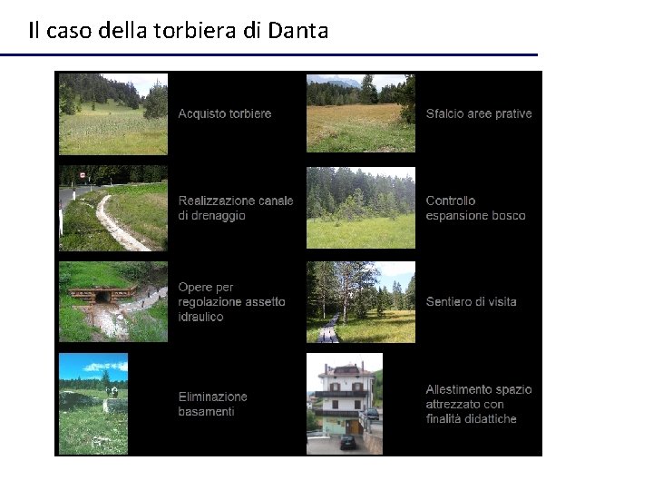 Il caso della torbiera di Danta 