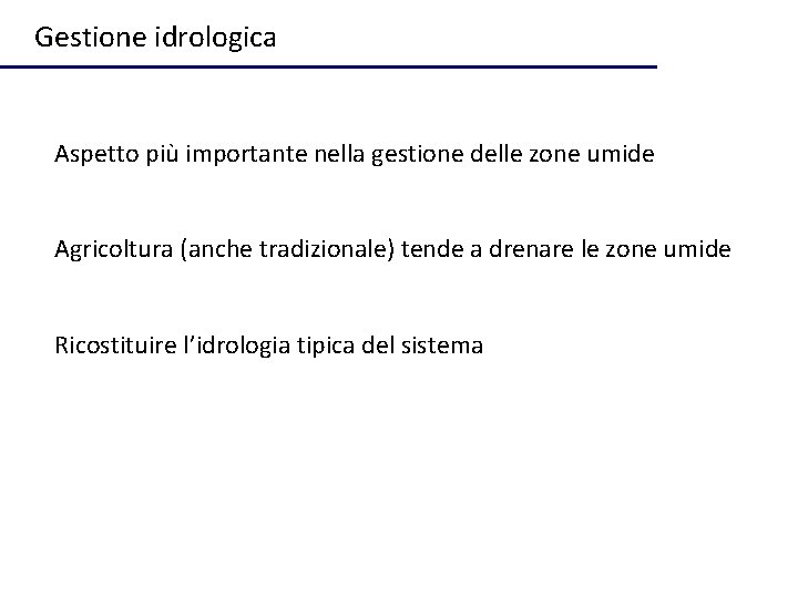 Gestione idrologica Aspetto più importante nella gestione delle zone umide Agricoltura (anche tradizionale) tende