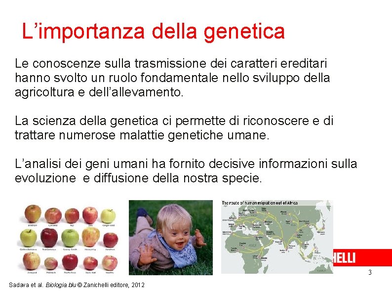 L’importanza della genetica Le conoscenze sulla trasmissione dei caratteri ereditari hanno svolto un ruolo