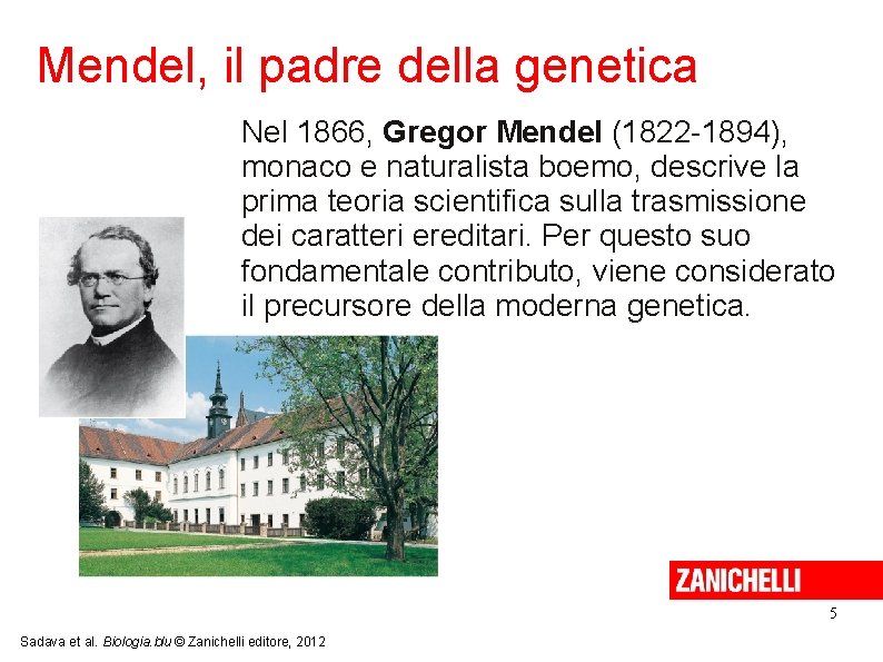 Mendel, il padre della genetica Nel 1866, Gregor Mendel (1822 -1894), monaco e naturalista