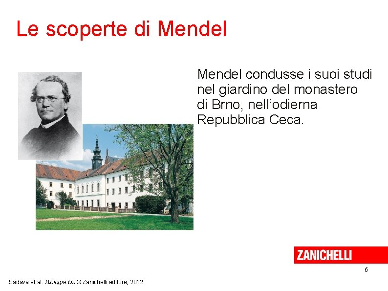 Le scoperte di Mendel condusse i suoi studi nel giardino del monastero di Brno,