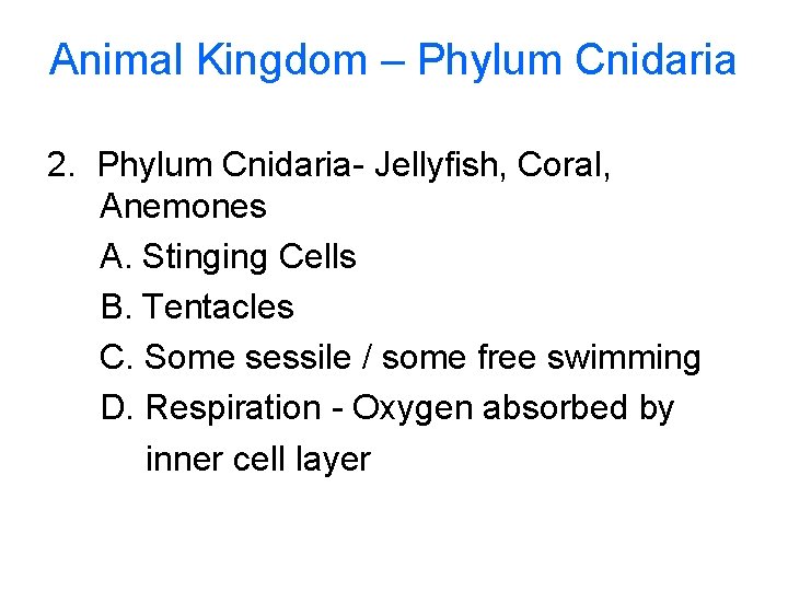 Animal Kingdom – Phylum Cnidaria 2. Phylum Cnidaria- Jellyfish, Coral, Anemones A. Stinging Cells