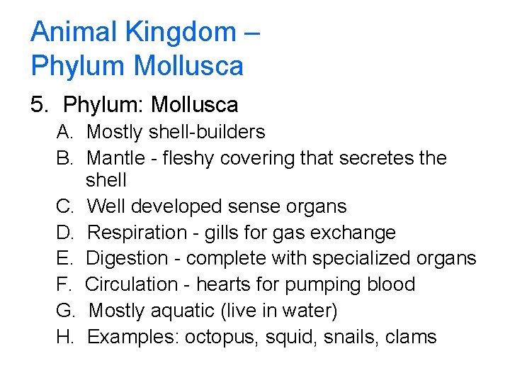 Animal Kingdom – Phylum Mollusca 5. Phylum: Mollusca A. Mostly shell-builders B. Mantle -