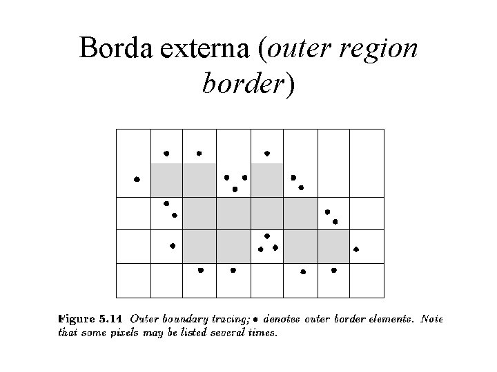 Borda externa (outer region border) 