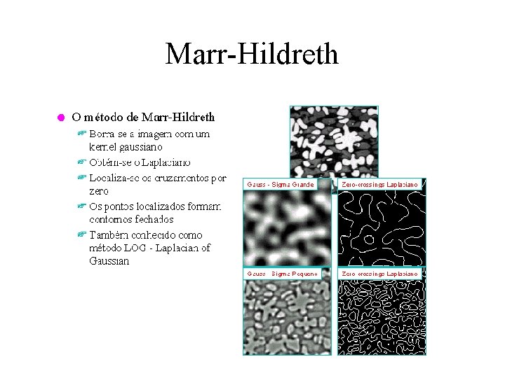 Marr-Hildreth 