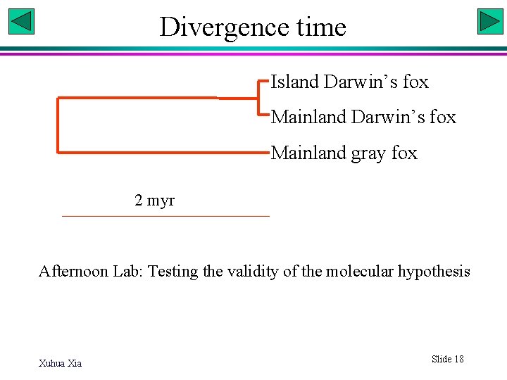 Divergence time Island Darwin’s fox Mainland gray fox 2 myr Afternoon Lab: Testing the