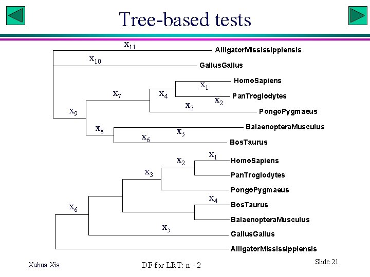 Tree-based tests x 11 Alligator. Mississippiensis x 10 Gallus x 7 x 4 x