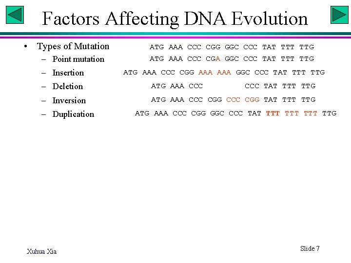 Factors Affecting DNA Evolution • Types of Mutation – Point mutation – Insertion ATG