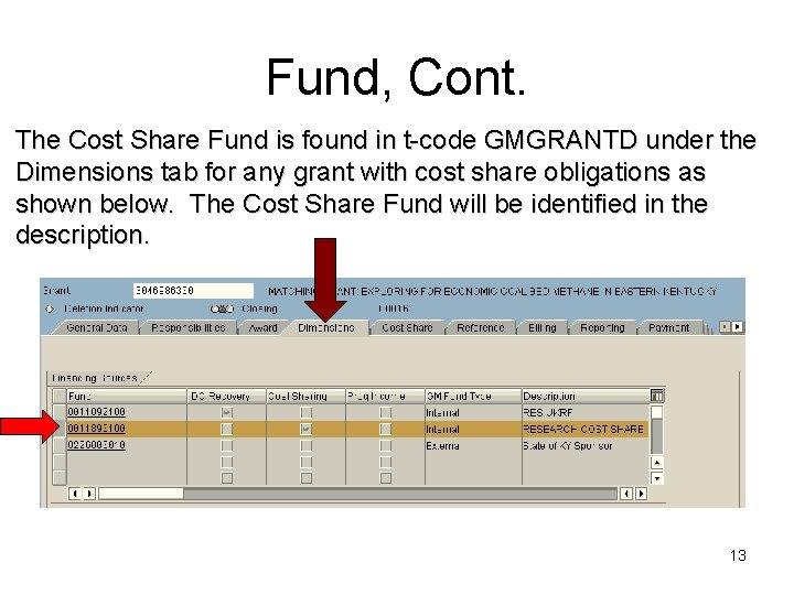 Fund, Cont. The Cost Share Fund is found in t-code GMGRANTD under the Dimensions