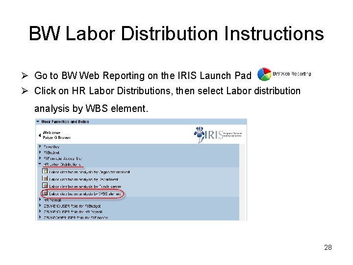 BW Labor Distribution Instructions Ø Go to BW Web Reporting on the IRIS Launch