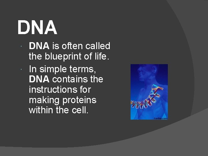 DNA is often called the blueprint of life. In simple terms, DNA contains the