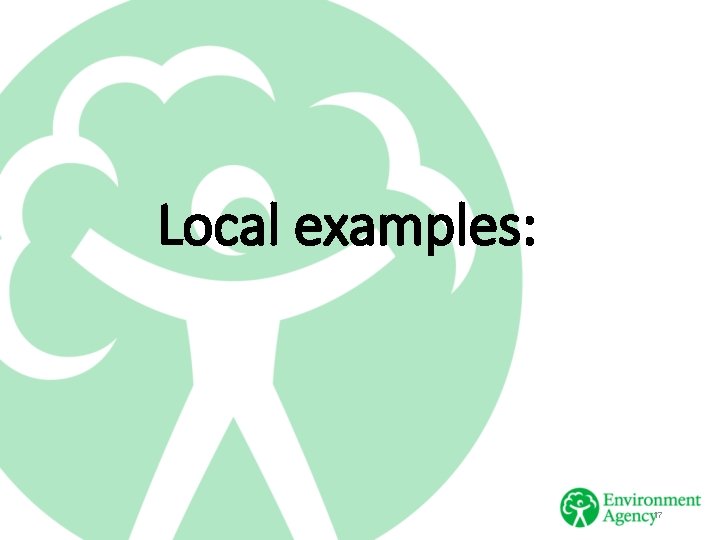 Local examples: 17 