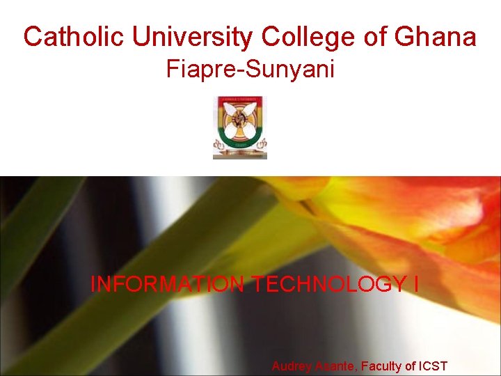 Catholic University College of Ghana Fiapre-Sunyani INFORMATION TECHNOLOGY I Audrey Asante, Faculty of ICST