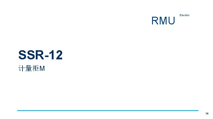 RMU Electric SSR-12 计量柜M 38 