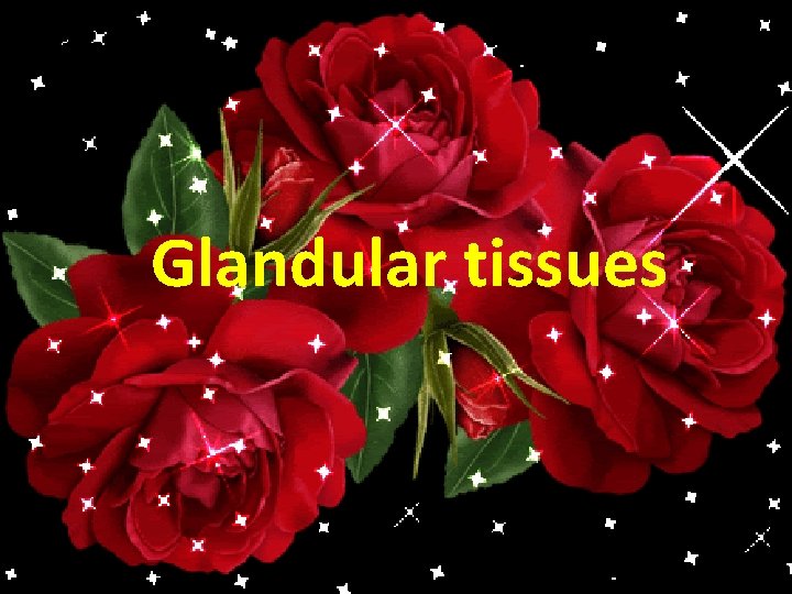 Glandular tissues 