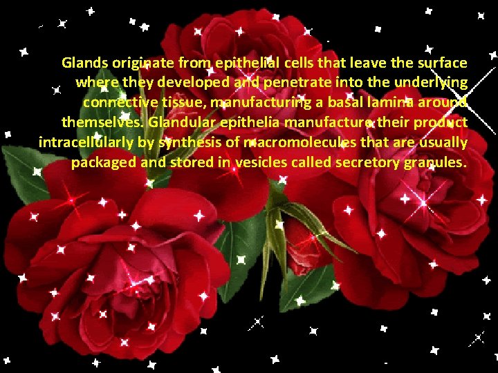 Glands originate from epithelial cells that leave the surface where they developed and penetrate