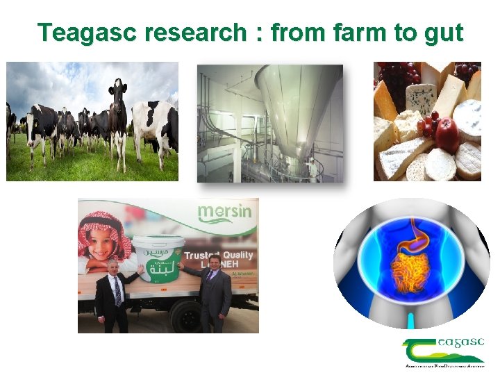 Teagasc research : from farm to gut 