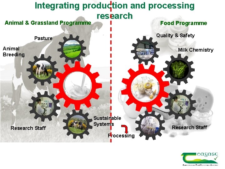 Integrating production and processing research Animal & Grassland Programme Food Programme Quality & Safety