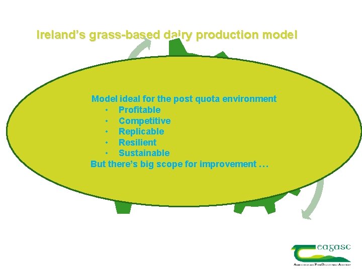 Ireland’s grass-based dairy production model compact seasonal calving high Model ideal for the post