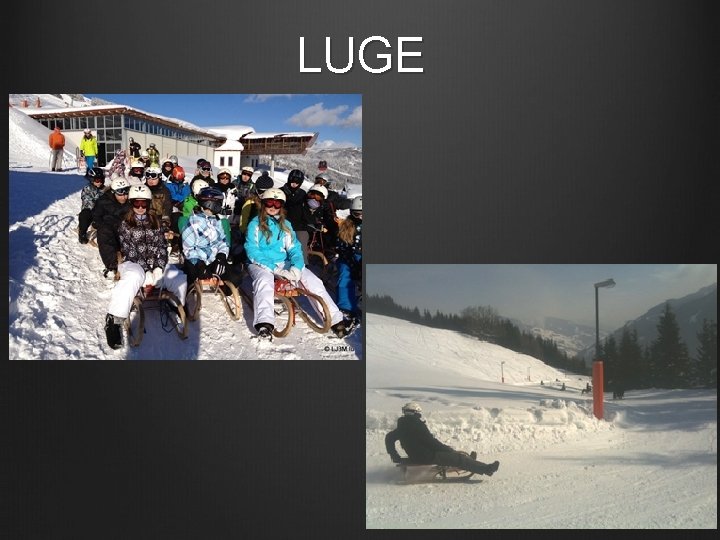 LUGE 