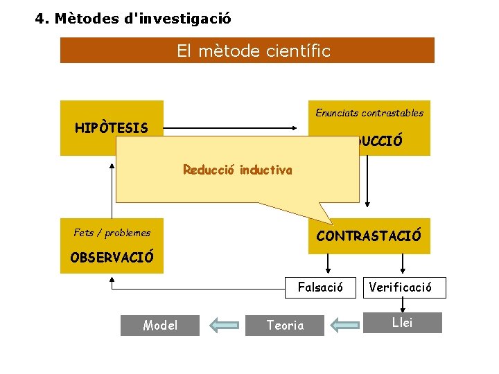 4. Mètodes d'investigació El mètode científic Enunciats contrastables HIPÒTESIS DEDUCCIÓ Reducció inductiva Fets /