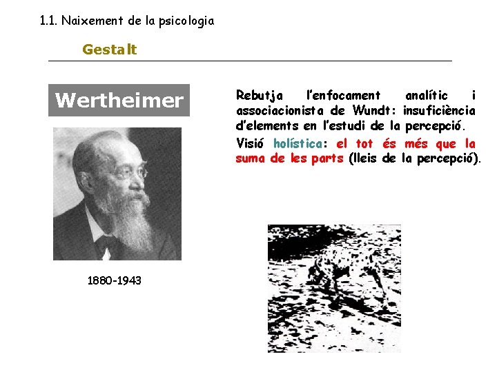 1. 1. Naixement de la psicologia Gestalt Wertheimer 1880 -1943 Rebutja l’enfocament analític i