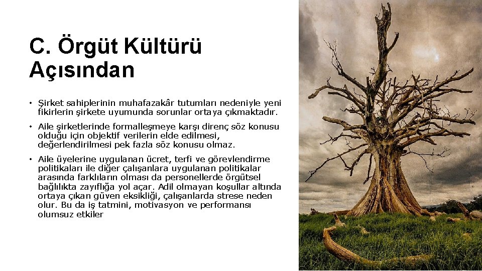 C. Örgüt Kültürü Açısından • Şirket sahiplerinin muhafazakâr tutumları nedeniyle yeni fikirlerin şirkete uyumunda