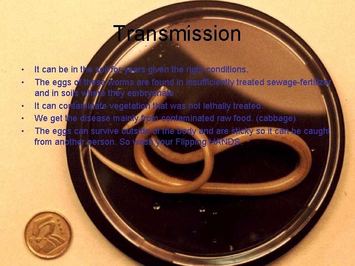 Transmission • • • It can be in the soil for years given the