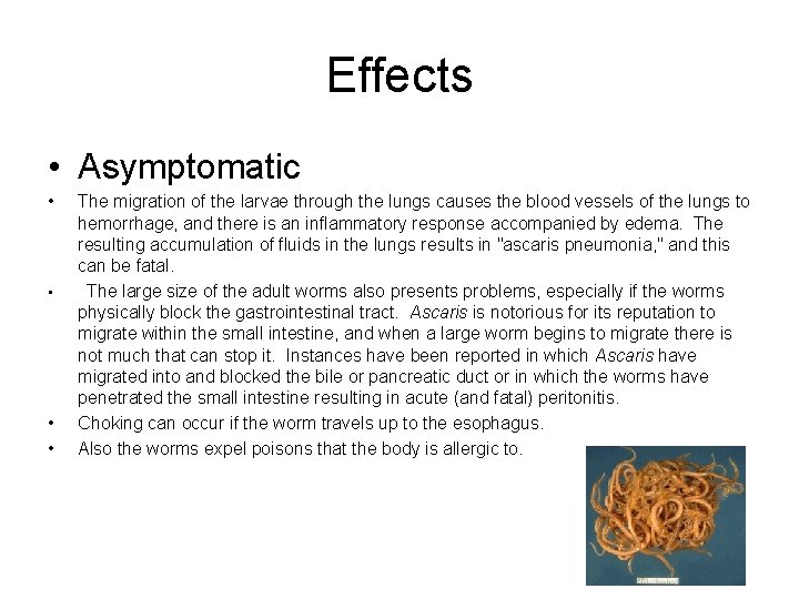 Effects • Asymptomatic • • The migration of the larvae through the lungs causes