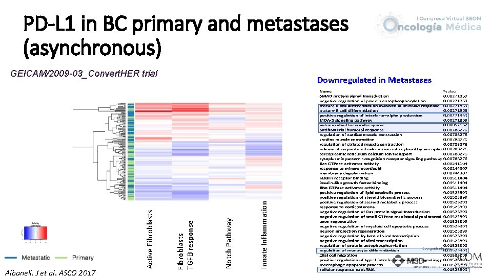 PD-L 1 in BC primary and metastases (asynchronous) Innate Inflammation Notch Pathway Downregulated in