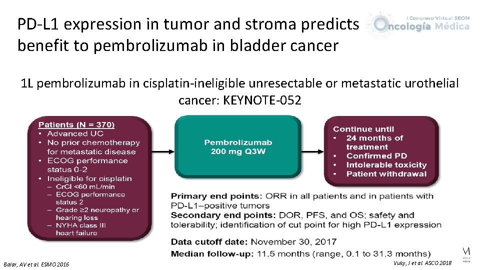 PD-L 1 expression in tumor and stroma predicts benefit to pembrolizumab in bladder cancer
