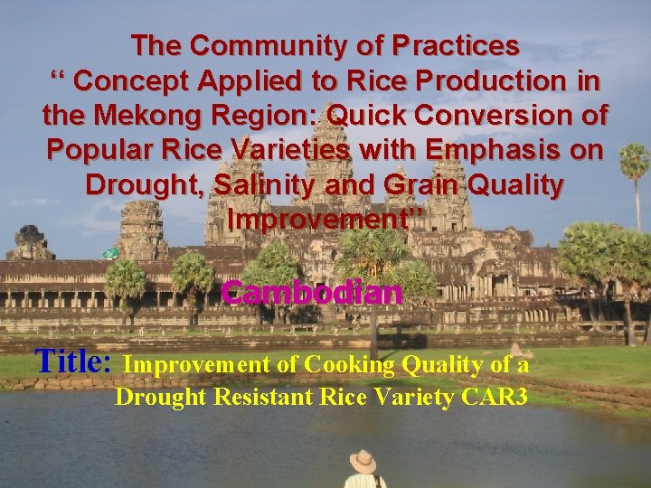 The Community of Practices Concept Applied to Rice