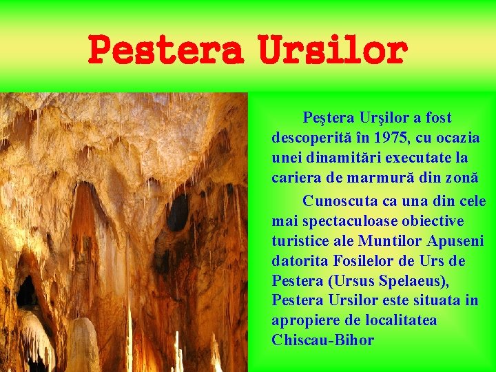 Pestera Ursilor Peştera Urşilor a fost descoperită în 1975, cu ocazia unei dinamitări executate