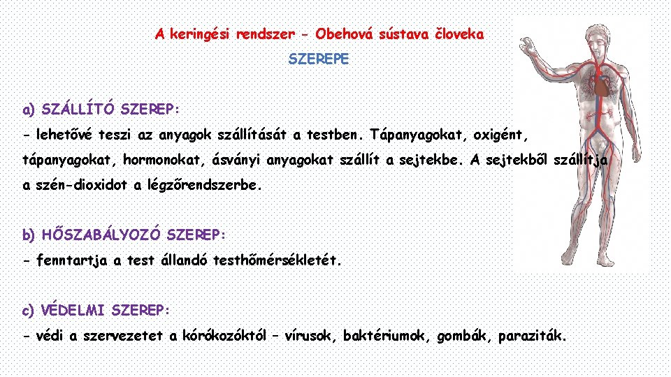 A keringési rendszer - Obehová sústava človeka SZEREPE a) SZÁLLÍTÓ SZEREP: - lehetővé teszi