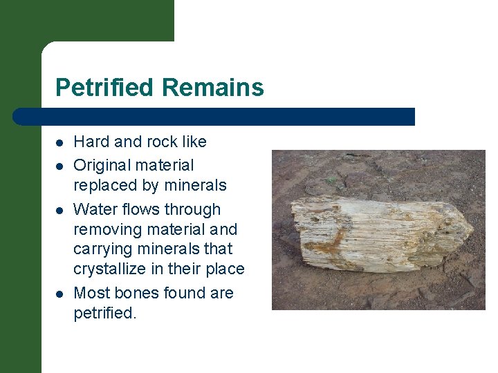 Petrified Remains l l Hard and rock like Original material replaced by minerals Water