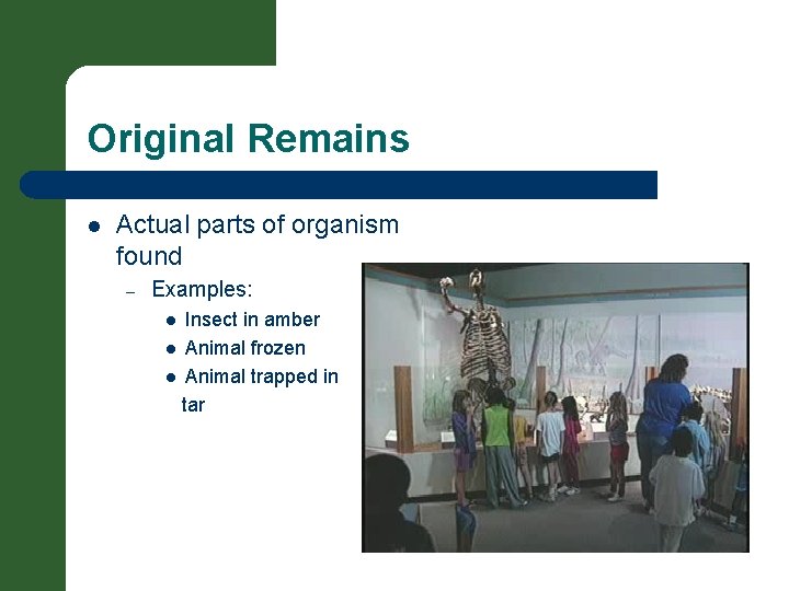 Original Remains l Actual parts of organism found – Examples: Insect in amber l