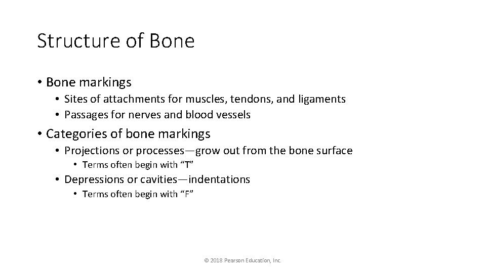 Structure of Bone • Bone markings • Sites of attachments for muscles, tendons, and