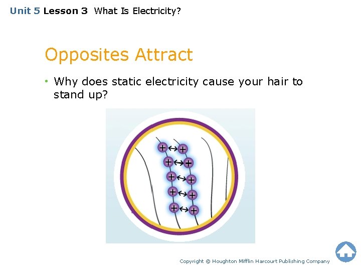 Unit 5 Lesson 3 What Is Electricity? Opposites Attract • Why does static electricity