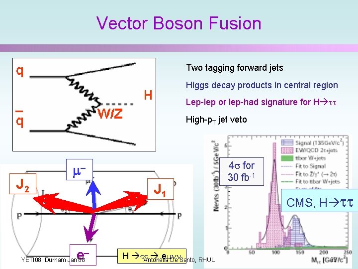 Vector Boson Fusion Two tagging forward jets Higgs decay products in central region Lep-lep